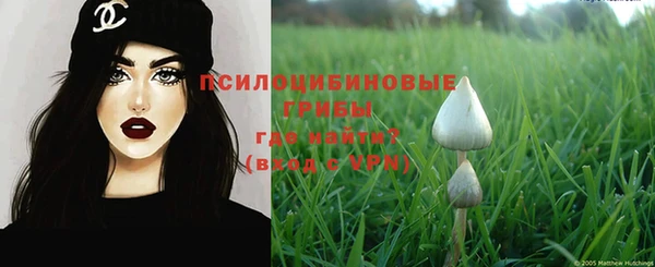 хмурый Кущёвская